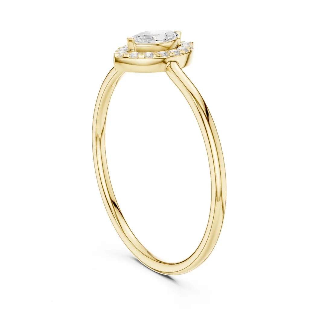 LR-446